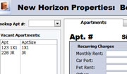 New Horizons rental properties database